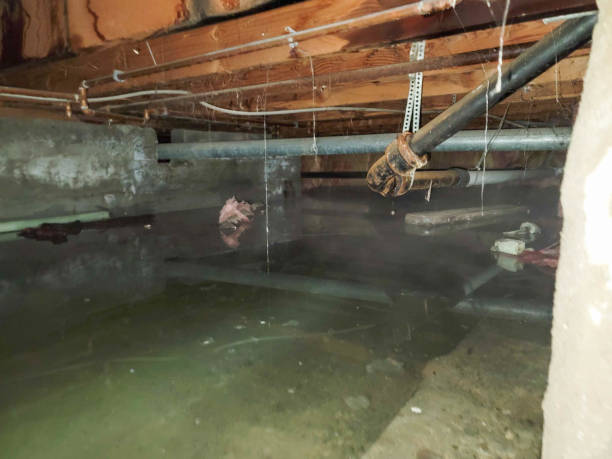 Best Basement water damage restoration  in Cape St Claire, MD