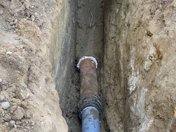 Best Sewage cleanup and water damage restoration  in Cape St Claire, MD