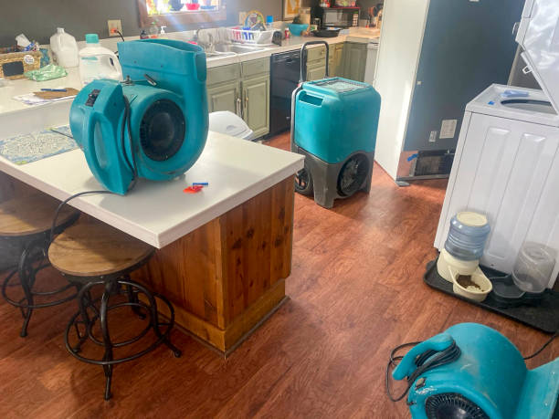 Best Water damage contractors near me  in Cape St Claire, MD