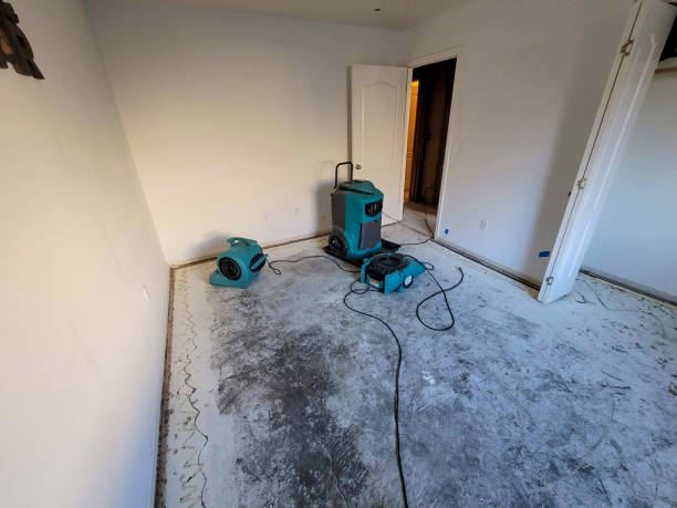 Best Water damage restoration near me  in Cape St Claire, MD
