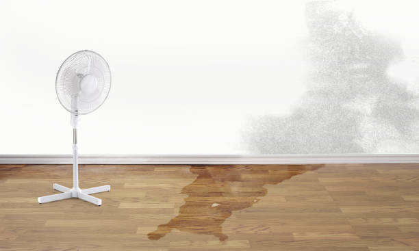 Best Basement water damage restoration  in Cape St Claire, MD