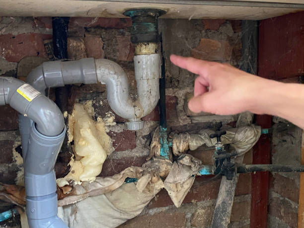 Best Water damage contractors near me  in Cape St Claire, MD