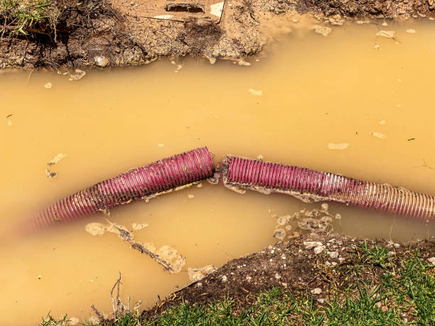 Best Emergency water damage restoration  in Cape St Claire, MD